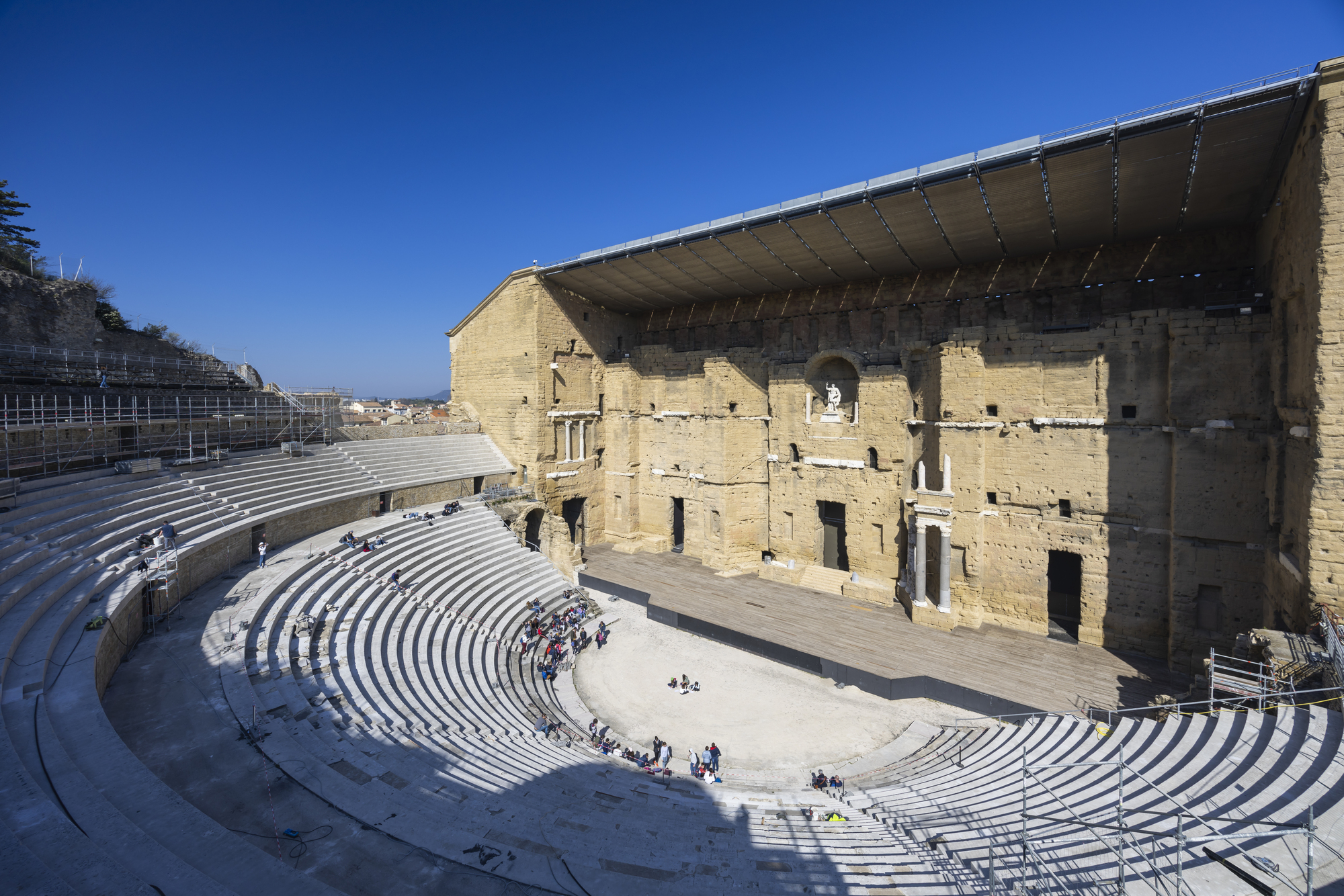 Ancient medicinal plants and their healing properties