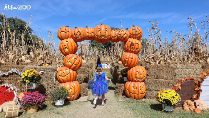 Boo at the Zoo returns to Abilene with new attractions