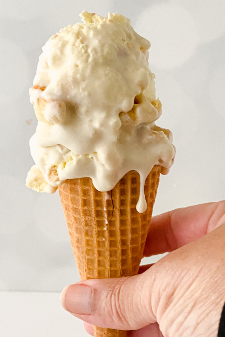 Go Bananas! 10+ Ninja Creami Banana Ice Cream Recipes That Wow