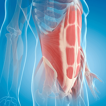 How to measure & best way to increase core strength
