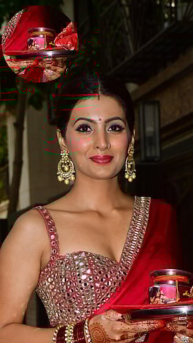 Harbhajan Singh's Wife Geeta Basra Includes Cricketer's Photo On Her