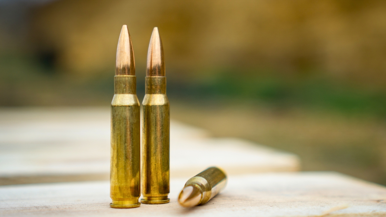 Calibers hunters say they love but never sight in