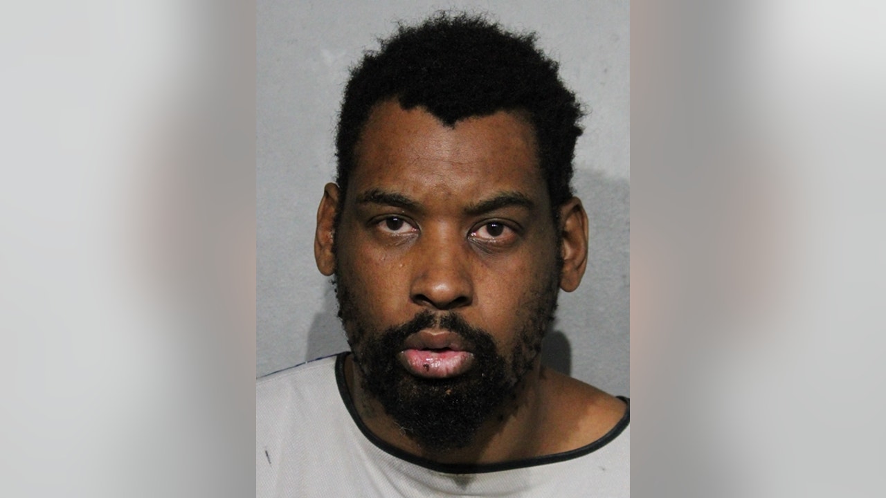 Cook County man accused in attacks against women sentenced for ...