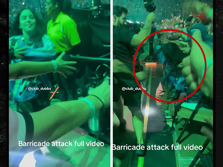 Billie Eilish Violently Grabbed By Fan During Miami Concert