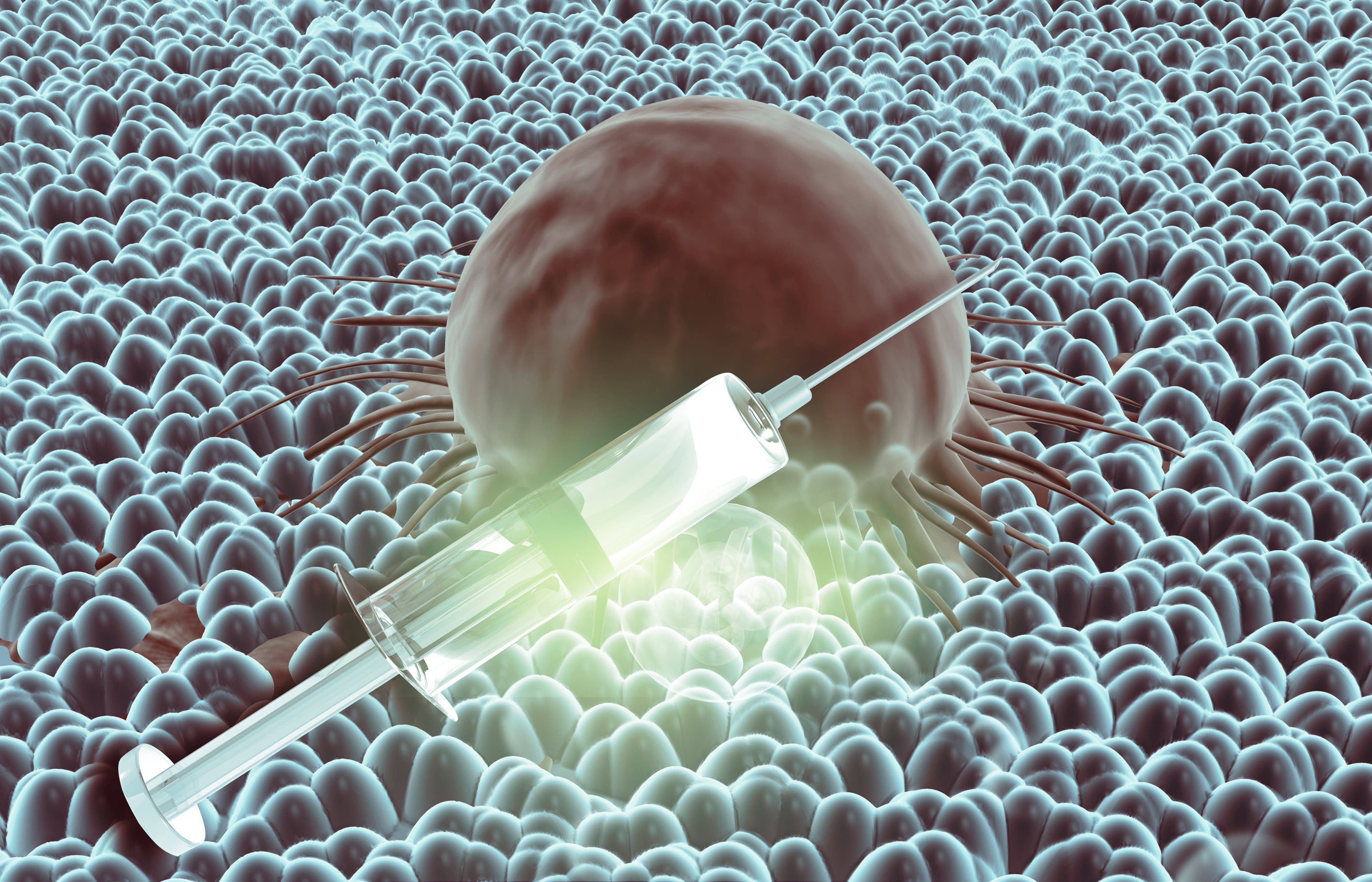 Cancer vaccine stops tumors in mice: 
