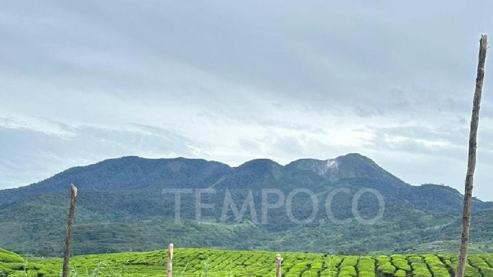 Gempa Vulkanik-Tektonik Gunung Talang Meningkat, Waspada Erupsi Mungkin Terjadi