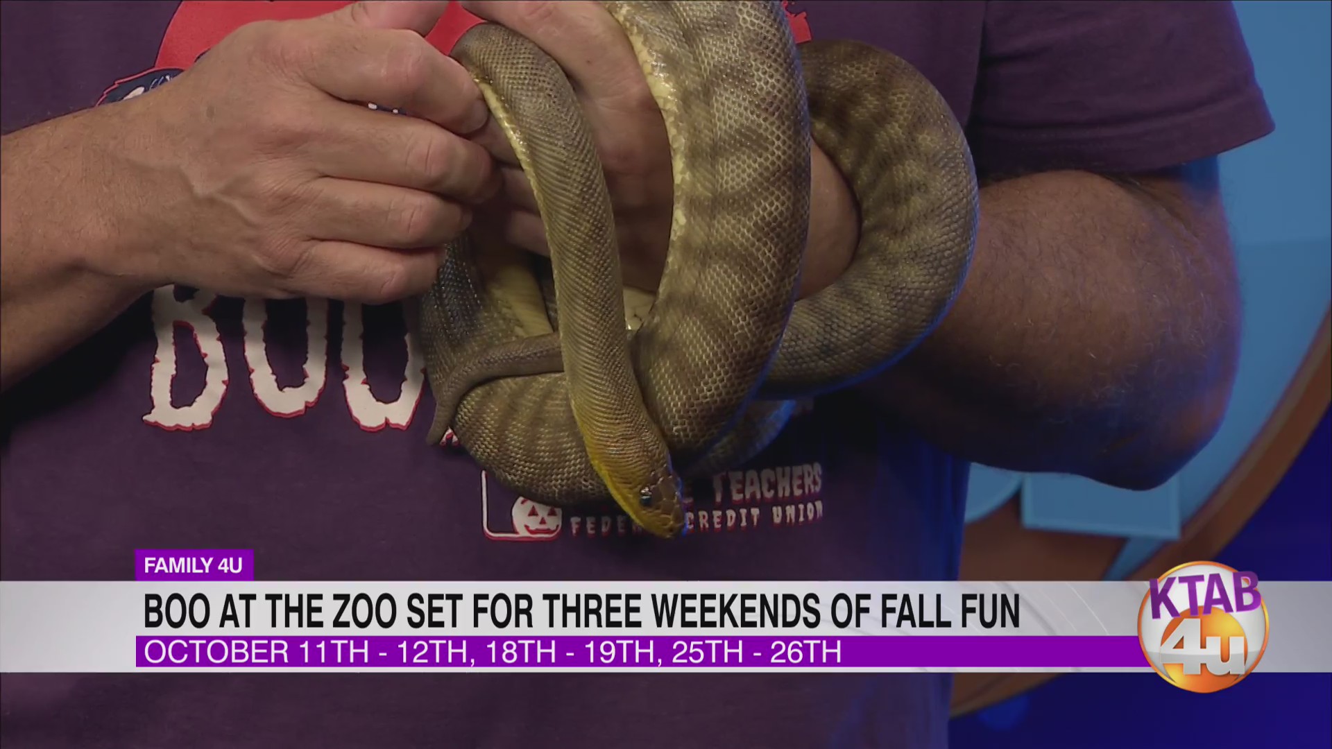 Boo at the Zoo set for three weekends of fall fun