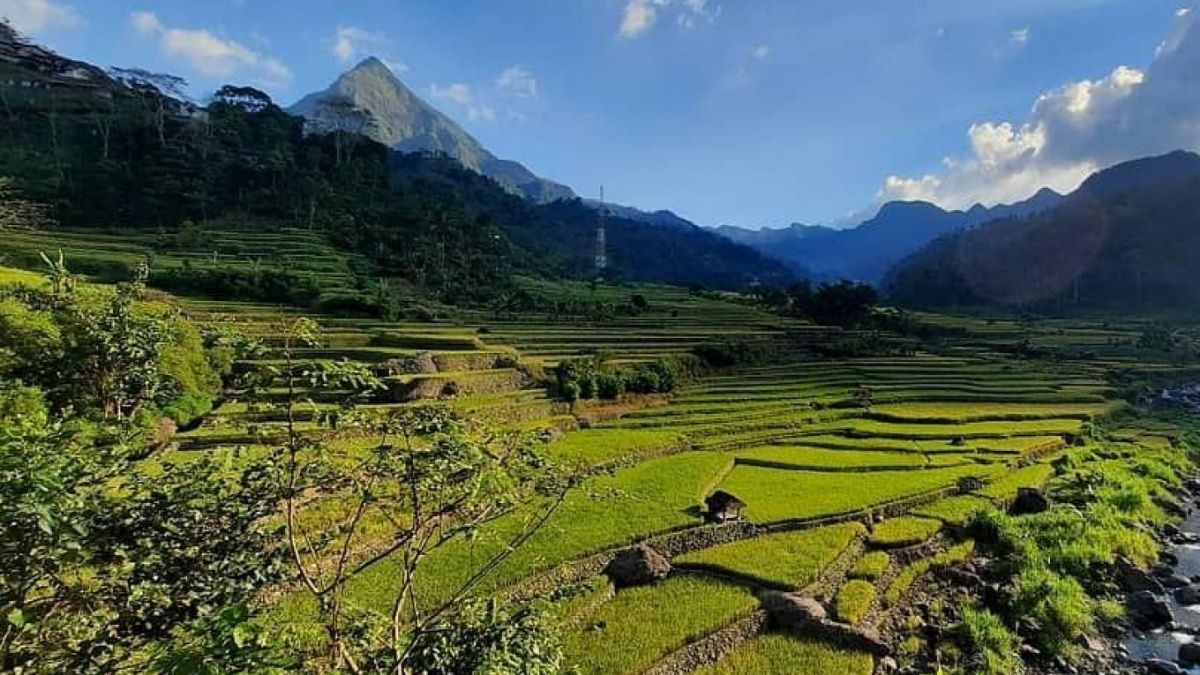 Rahasia Kopi Muria: Desa Wisata Tempur, Surga Tersembunyi bagi Pecinta Kopi dan Alam