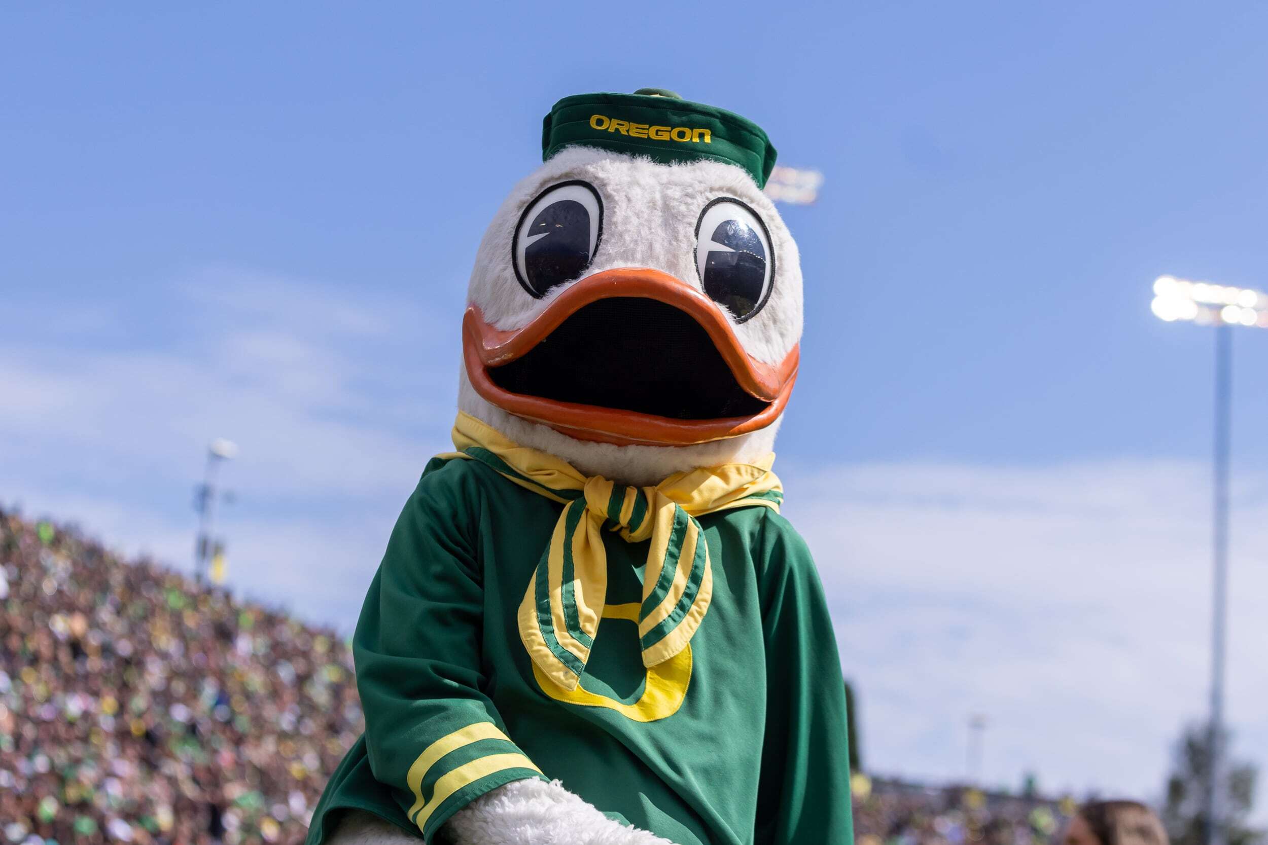 Watch: The Oregon Duck mascot gives care package to ESPN 'College GameDay'  dog Peter, image size:2500x1667