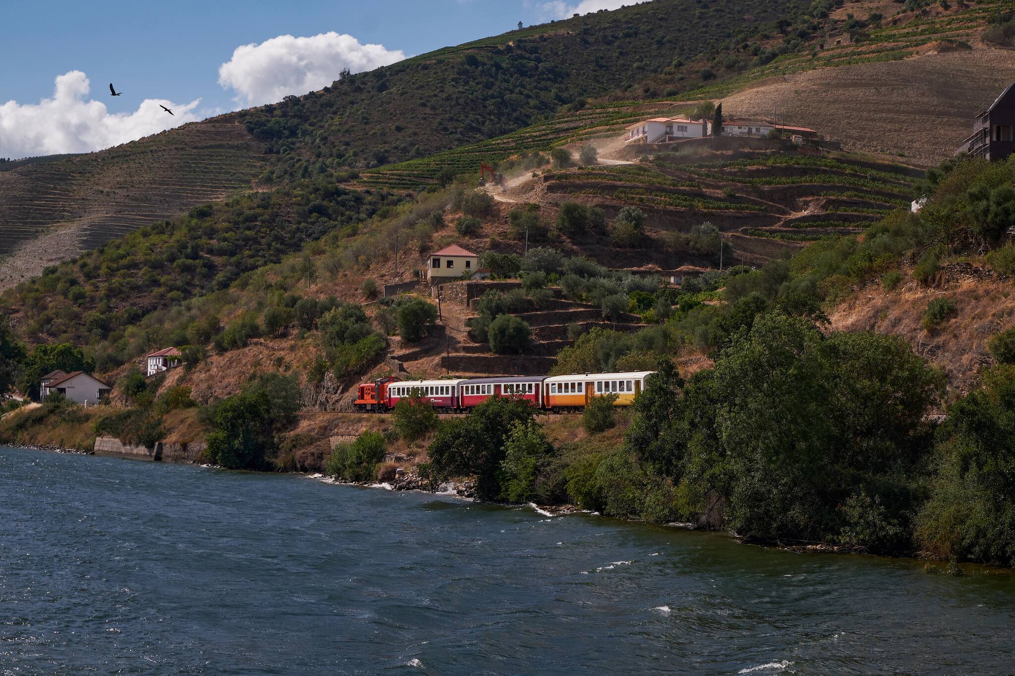 Das Douro-Tal: Ein Herbsttraum für Wein- und Naturliebhaber