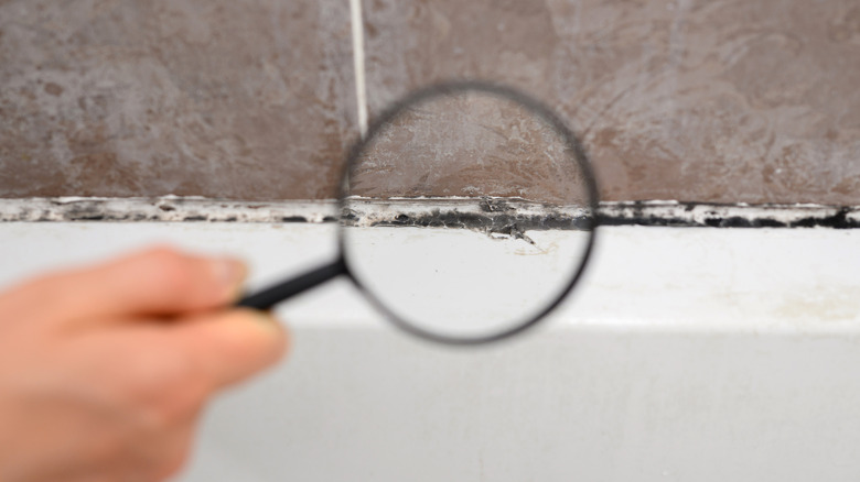 Say Goodbye To Moldy Shower Caulking With One Simple, Affordable Solution
