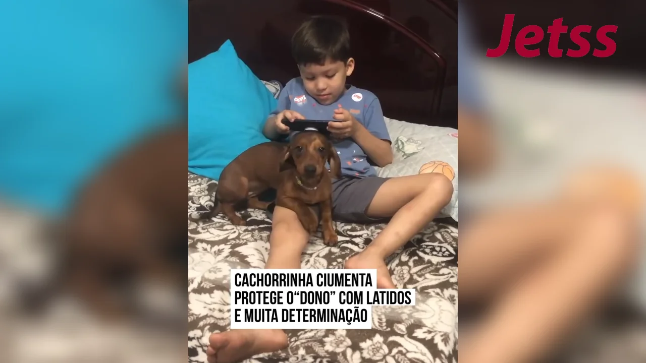 Cachorrinha ciumenta reage ao ver dona dizer que o filho é “dela”