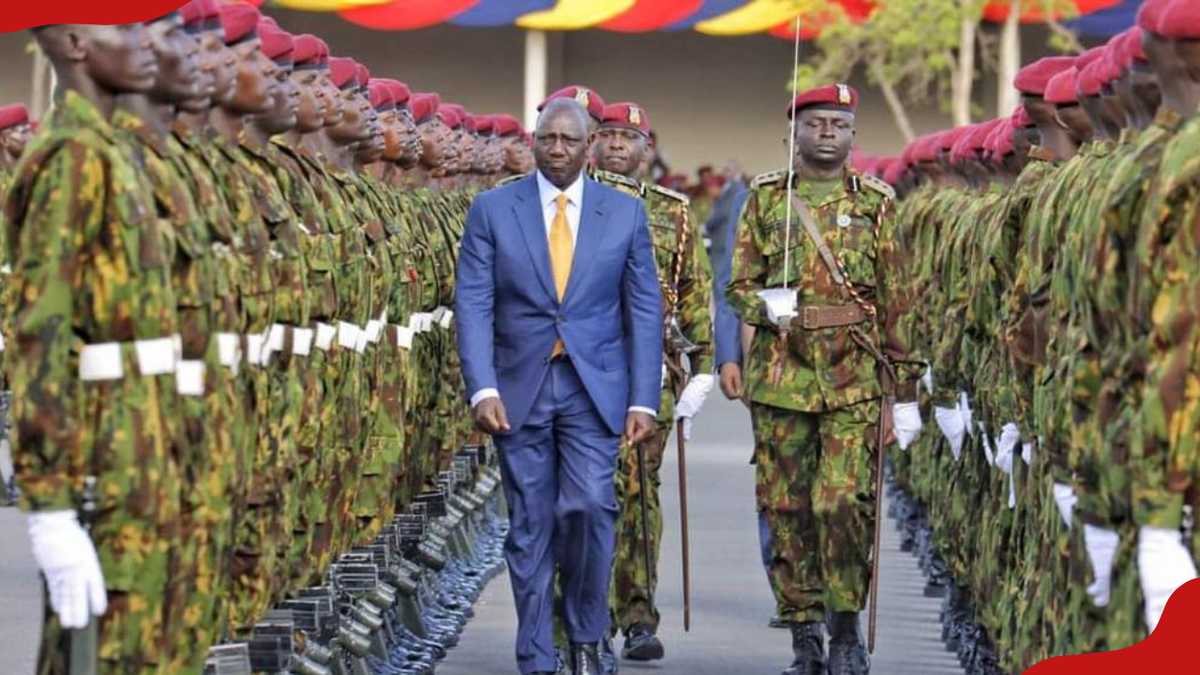 Ledama Olekina asks govt to scrap Form 4 requirement in police ...