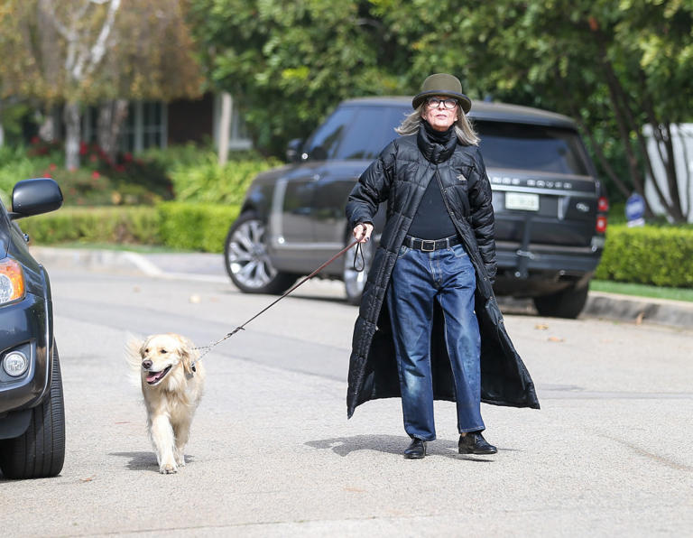 los-angeles-ca-november-07-diane-keaton-is-seen-on-november-07-2021-in-los-angeles-california-photo-by-bellocqimagesbauer-griffingc-images-stockpack-gettyimages