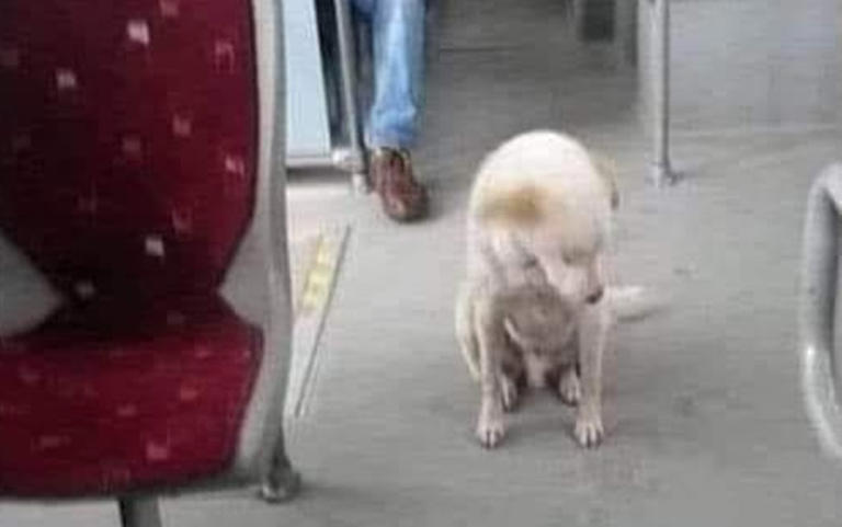Cartello di parcheggio per autista di autobus, regalo per autista di autobus, cartello per