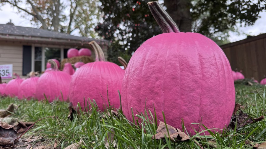 West Michigan pumpkin patch supporting families impacted by breast cancer