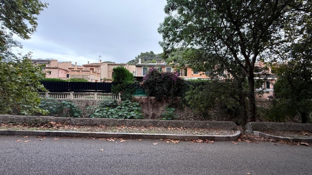 Ausflug auf Mallorca endet in Enttäuschung – doch eine Sache überrascht