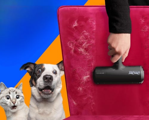 60 kooky things for your home that are actually super practical & awesome