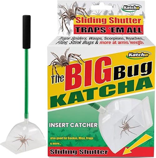60 kooky things for your home that are actually super practical & awesome