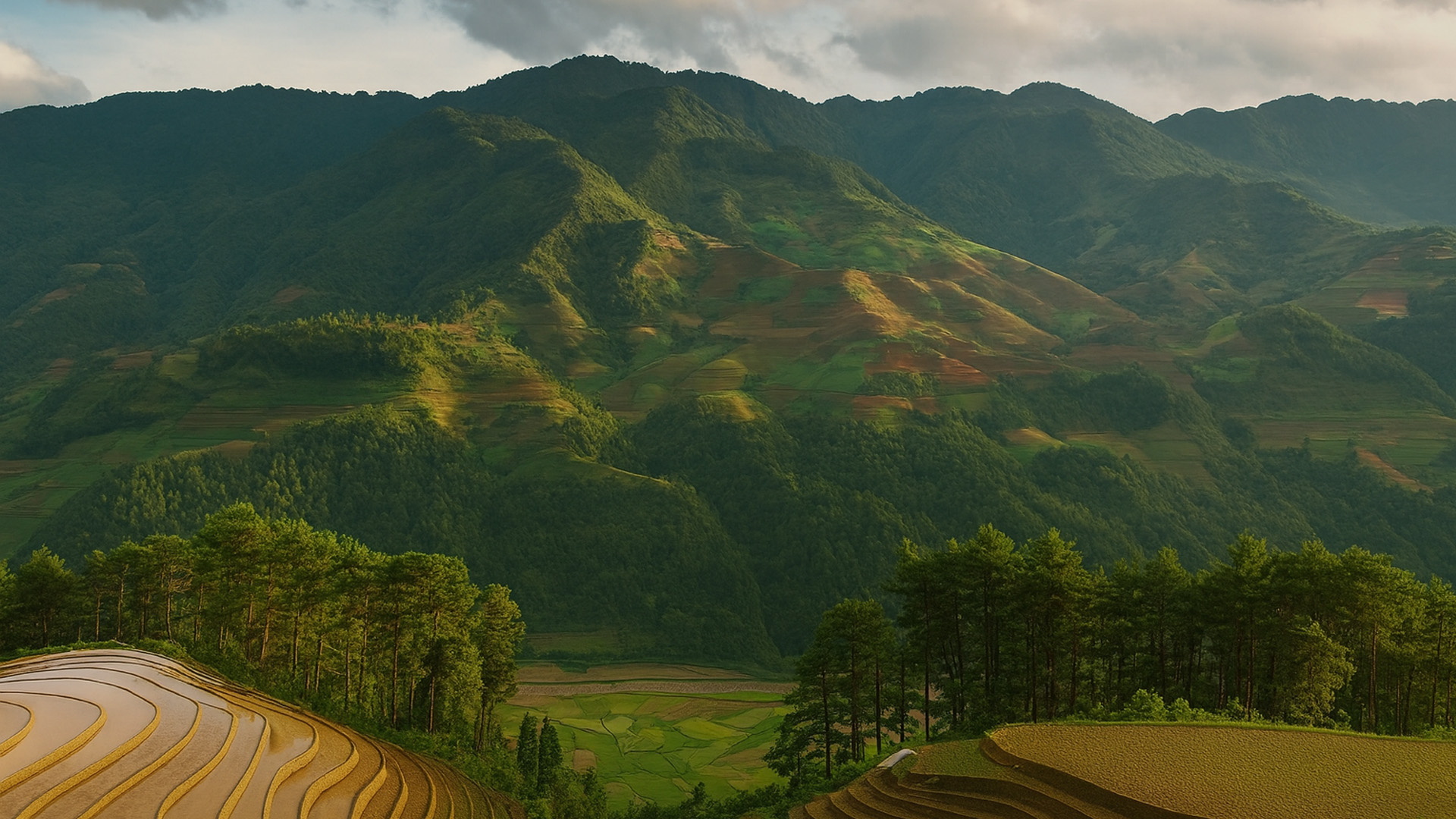 Northern Highlands – Laos – Mountain Terraces and Forested Slopes in 4K
