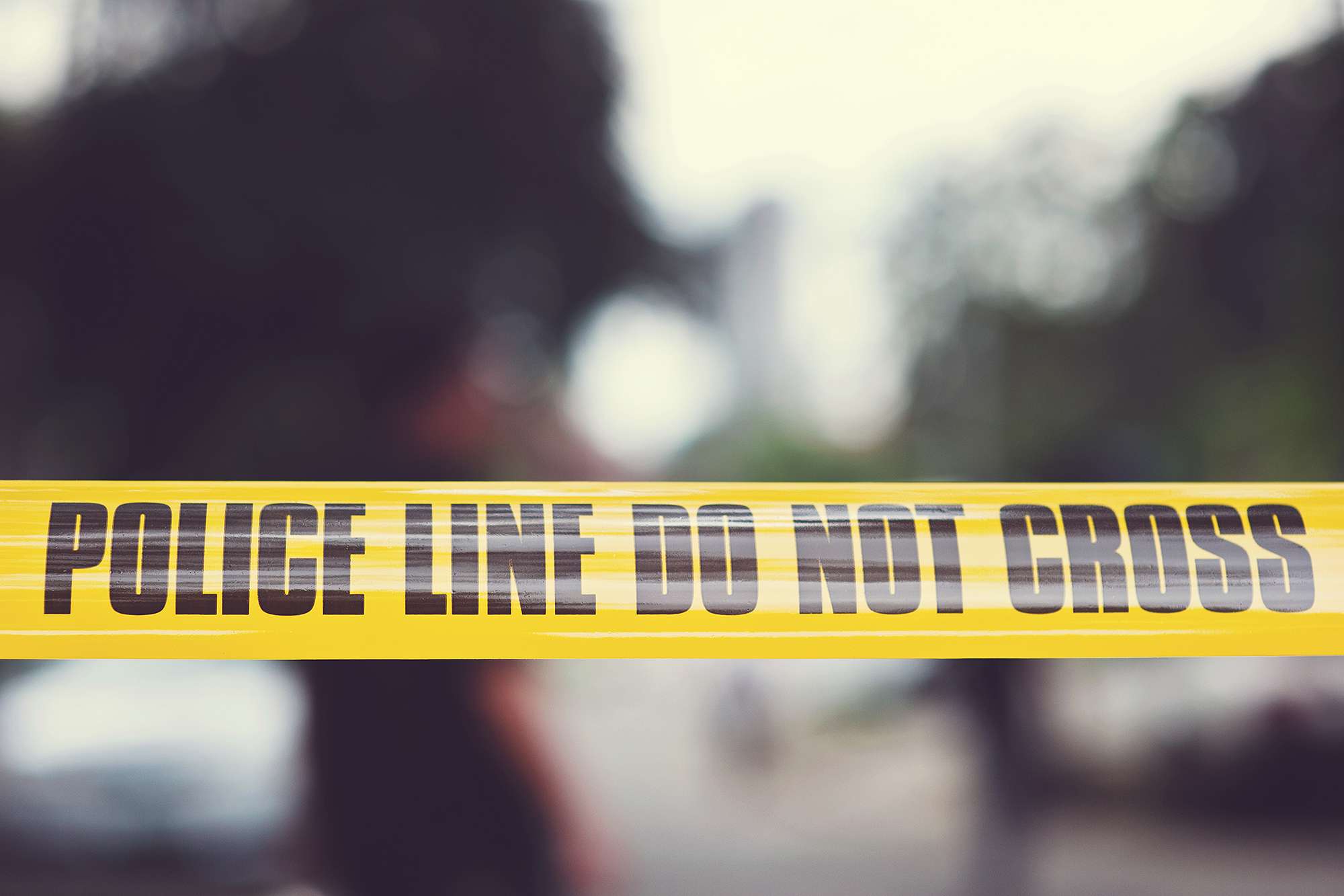 Woman, Dead for Weeks, Was Eaten by Her 2 Dogs After They Became