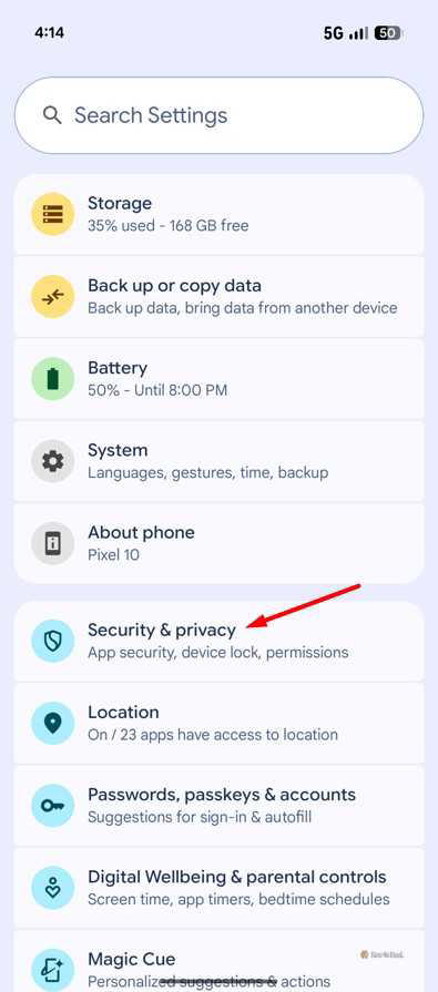Security & Privacy option in Pixel 10.