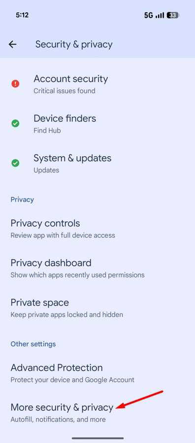 More Security & Privacy option in Pixel 10.