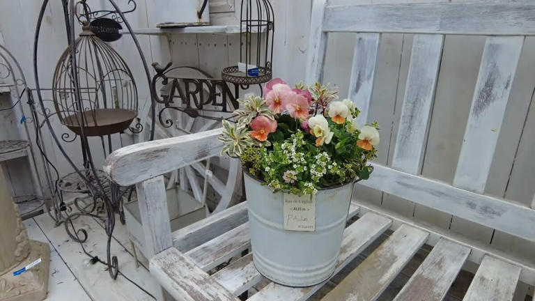 園芸のプロが解説》アンティークなガーデン雑貨「ブリキ鉢」を錆から