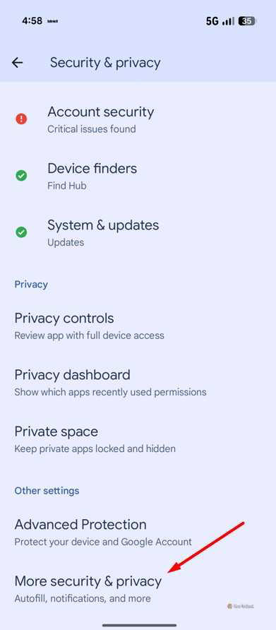 More Security & Privacy option in Pixel.