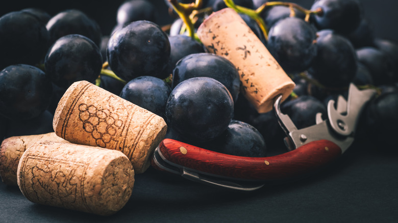 13 Types Of Corkscrews And Other Wine Openers, Explained