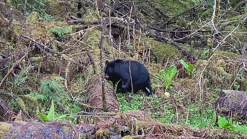 The 10 Unexpected Dangers Lurking in America’s National Parks