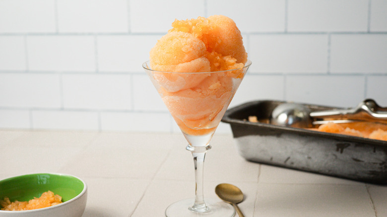 Easy 3-ingredient cantaloupe sorbet recipe