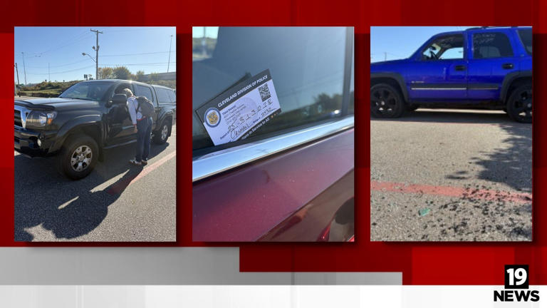 9 teens, 12-year-old arrested for string of vehicle break-ins across ...