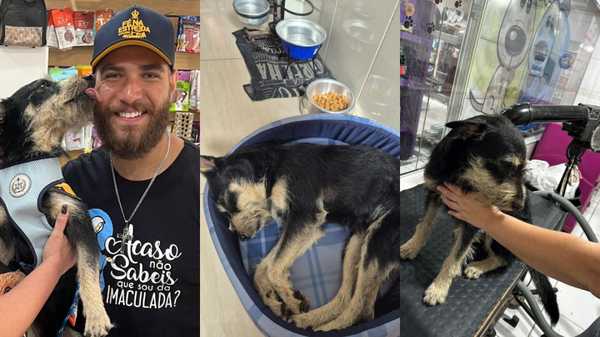 Cachorro caminha 150 km em romaria para Aparecida e é adotado por fiel após encontros e desencontros: 'É um anjo'