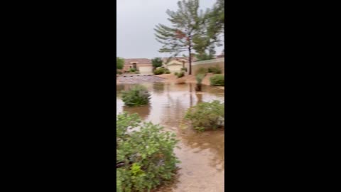 US: Record Rainfall and Flood Warnings Across Phoenix and Gila County ...
