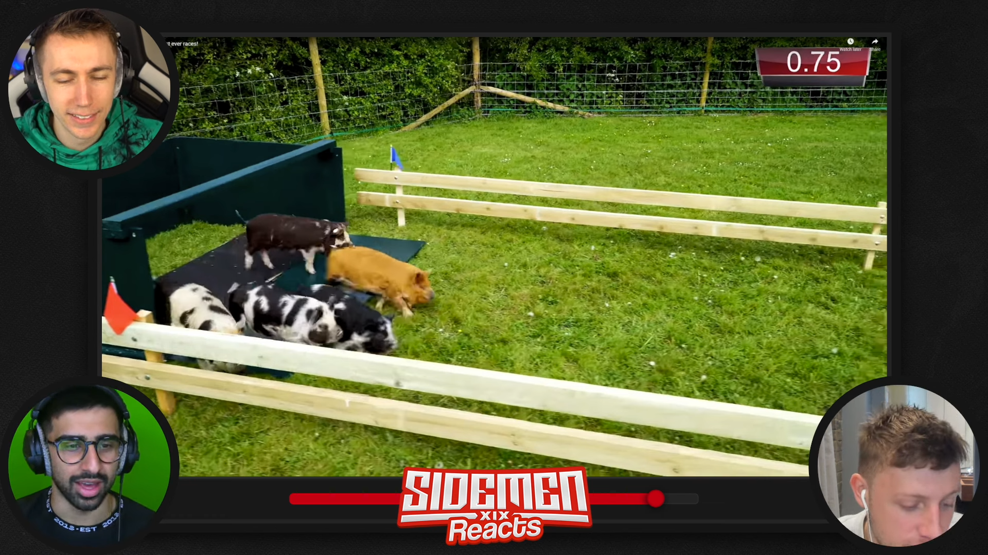 The Sidemen pig racing for $10,000