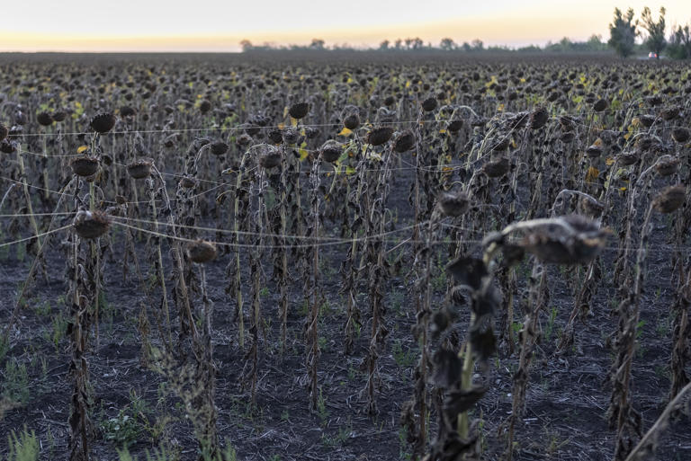 Behind Russia’s battlefield drone surge in Ukraine? Chinese factories.