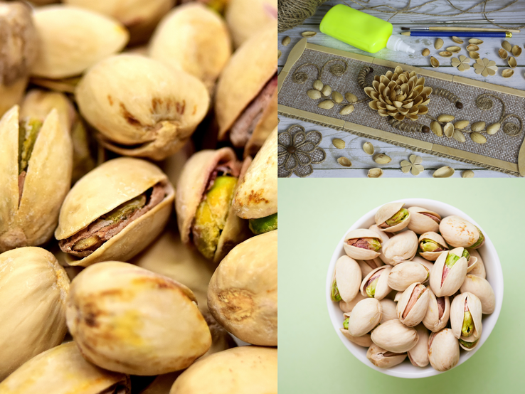 Basteln mit Pistazien-Schalen: Drei geniale Deko-Ideen im Herbst