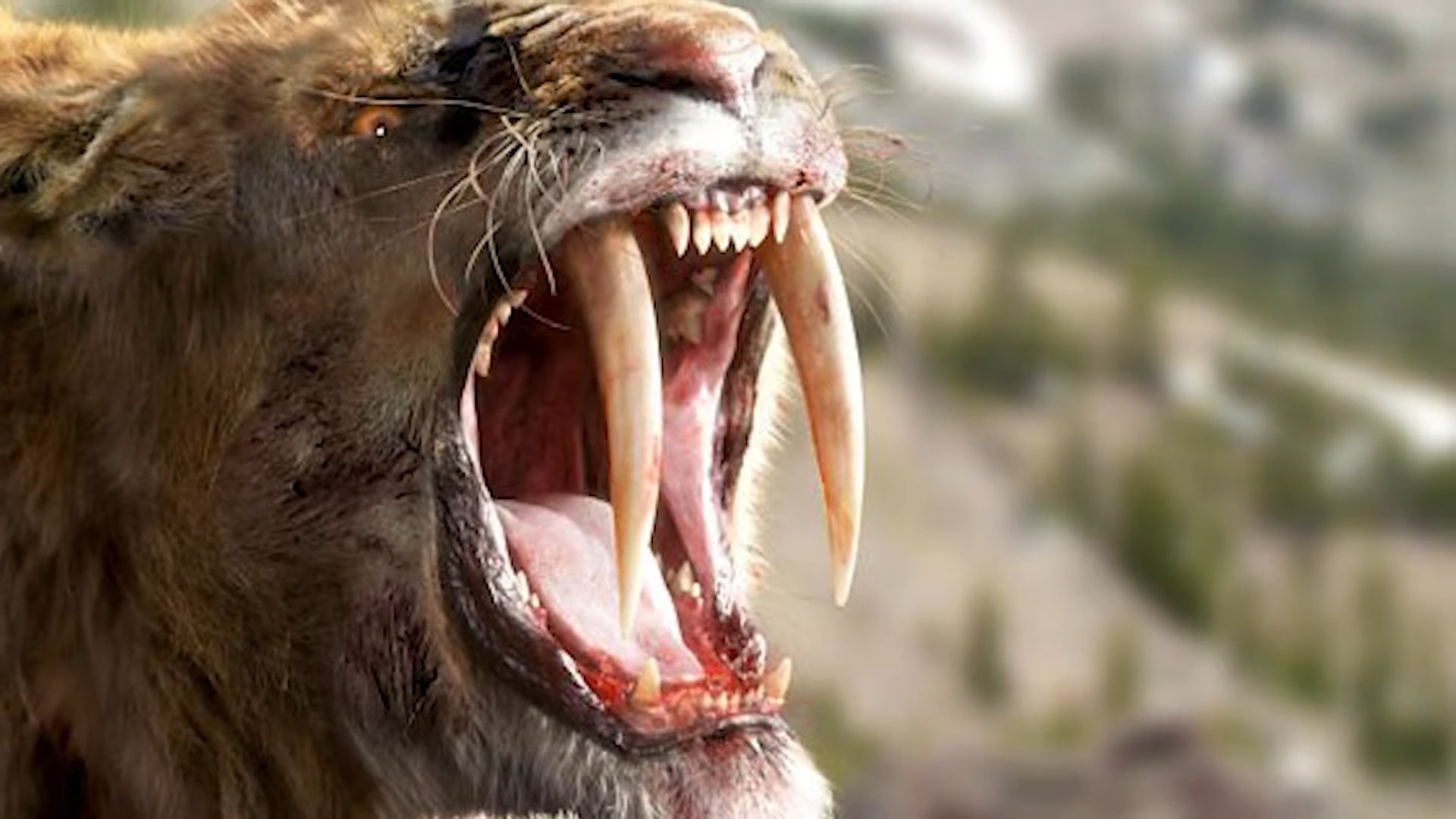 Sabre-Toothed Terror: Predators That Hunted Early Humans