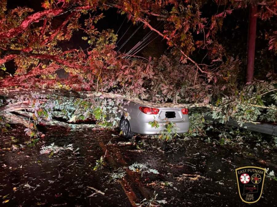 Tree falls on car on Route 44 in East Putnam