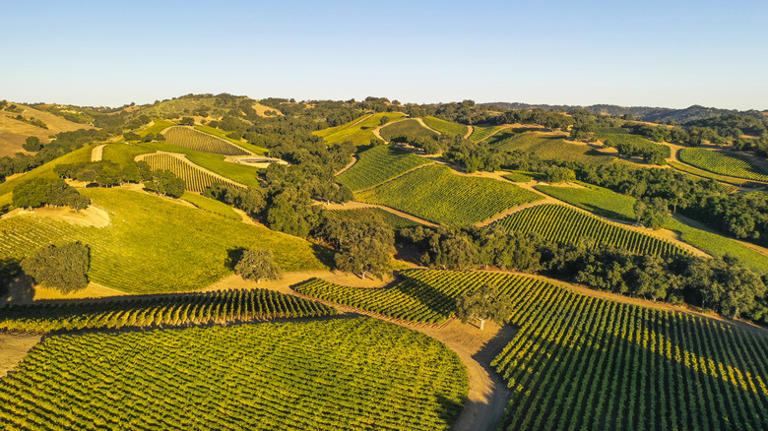 This Quaint, Family-Owned Vineyard Is A Hidden Gem In California's ...