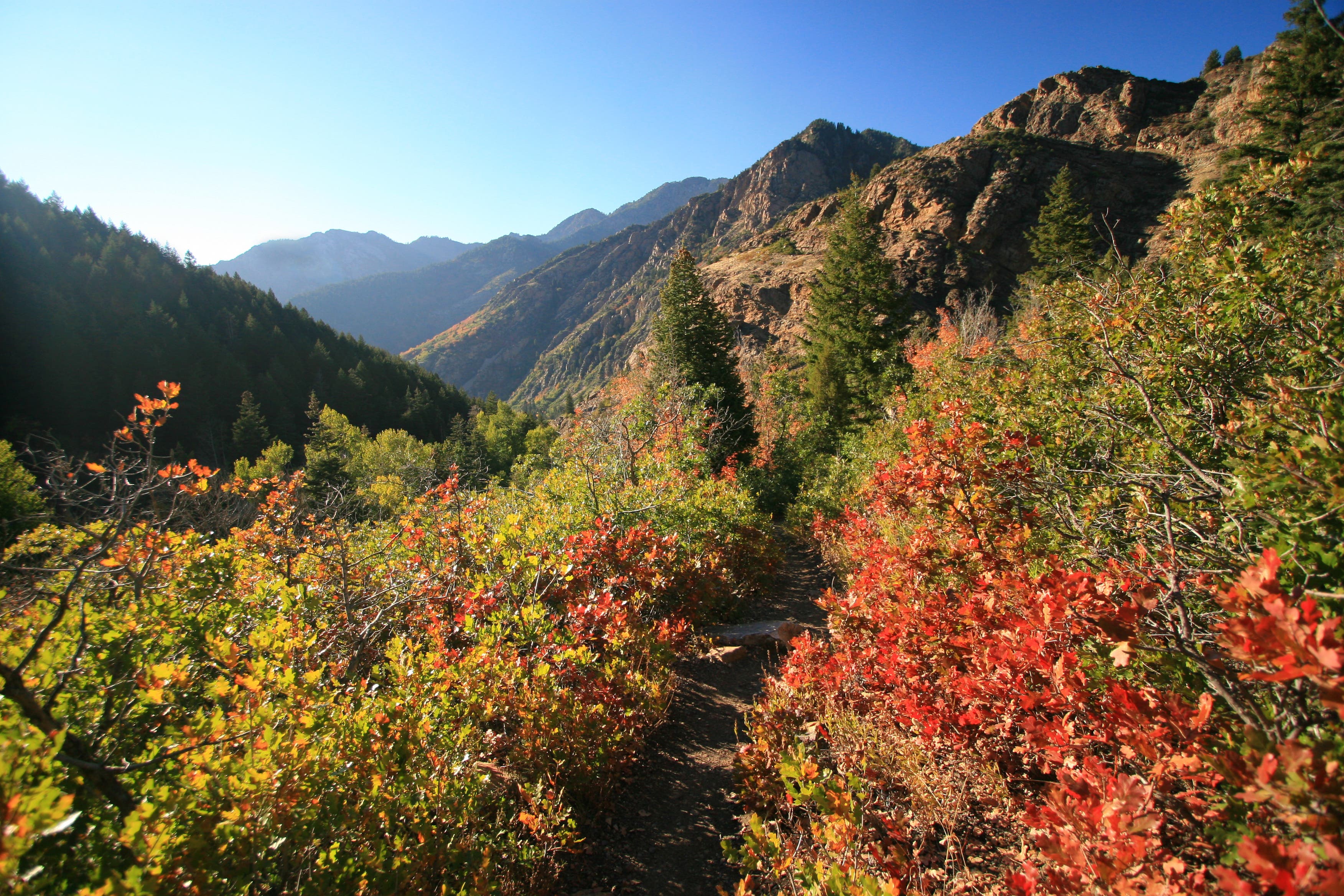 Three kids who went missing with dad on canyon hike found alive day later(02)