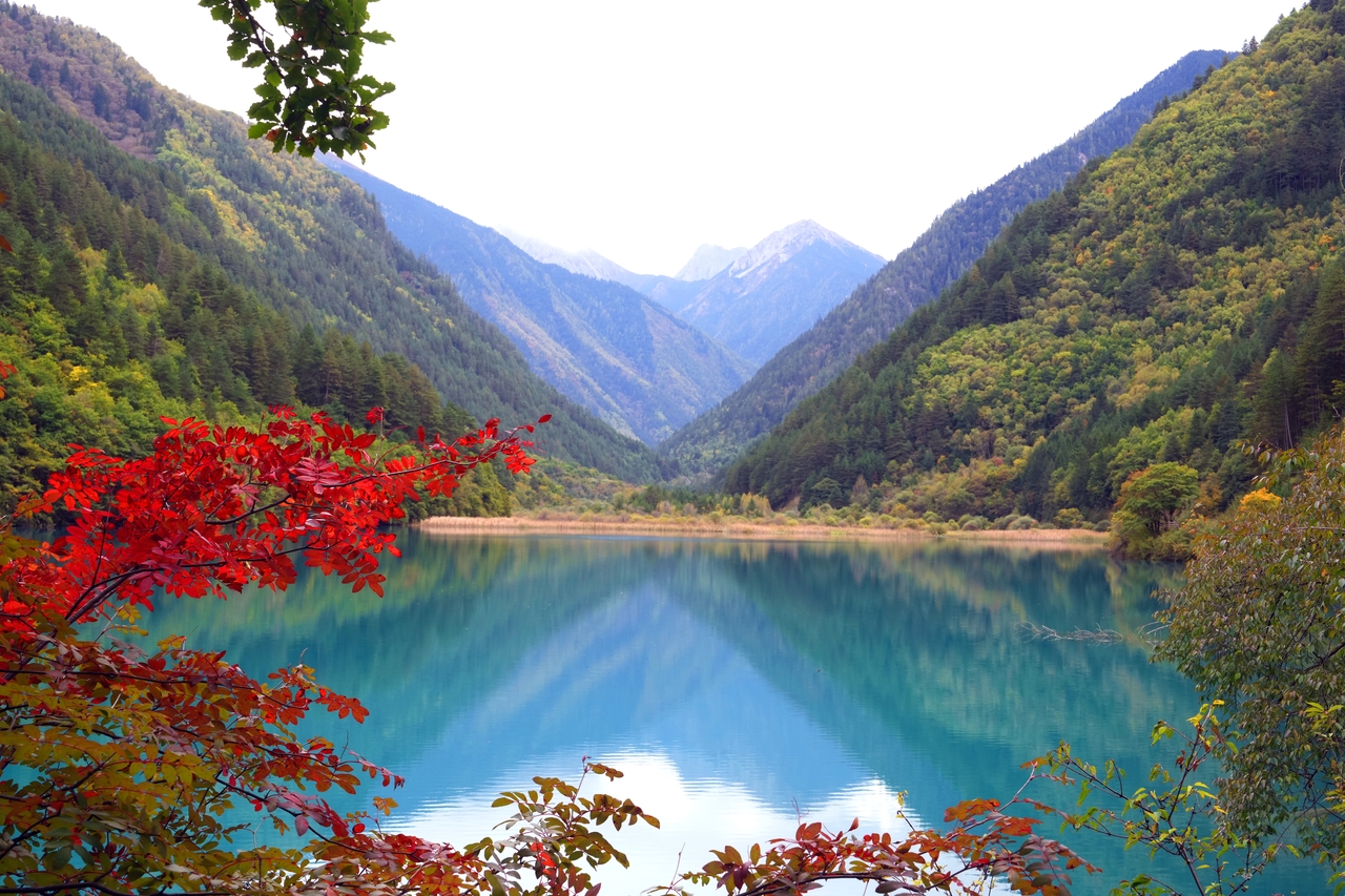 中新社：九寨沟秋景如画引游人