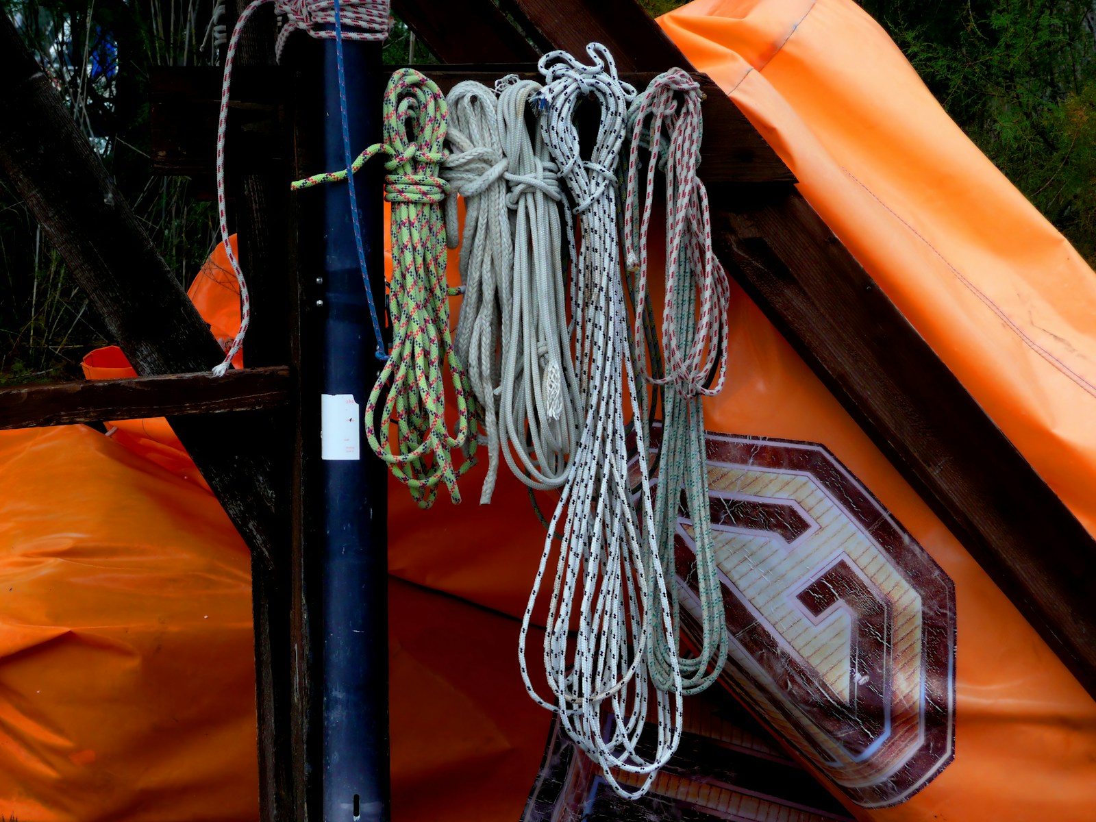 5 Knots Every Camper Should Know