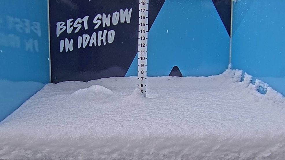 4 Inches Of Snow Tiktoknull