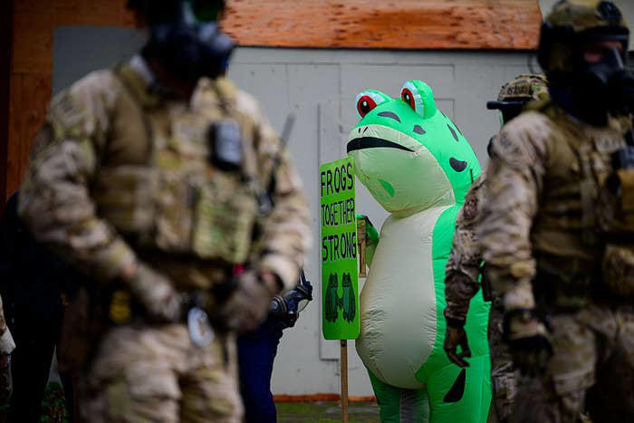 Here's Why ICE Protests Are Suddenly Full Of Inflatable Frogs (And What ...