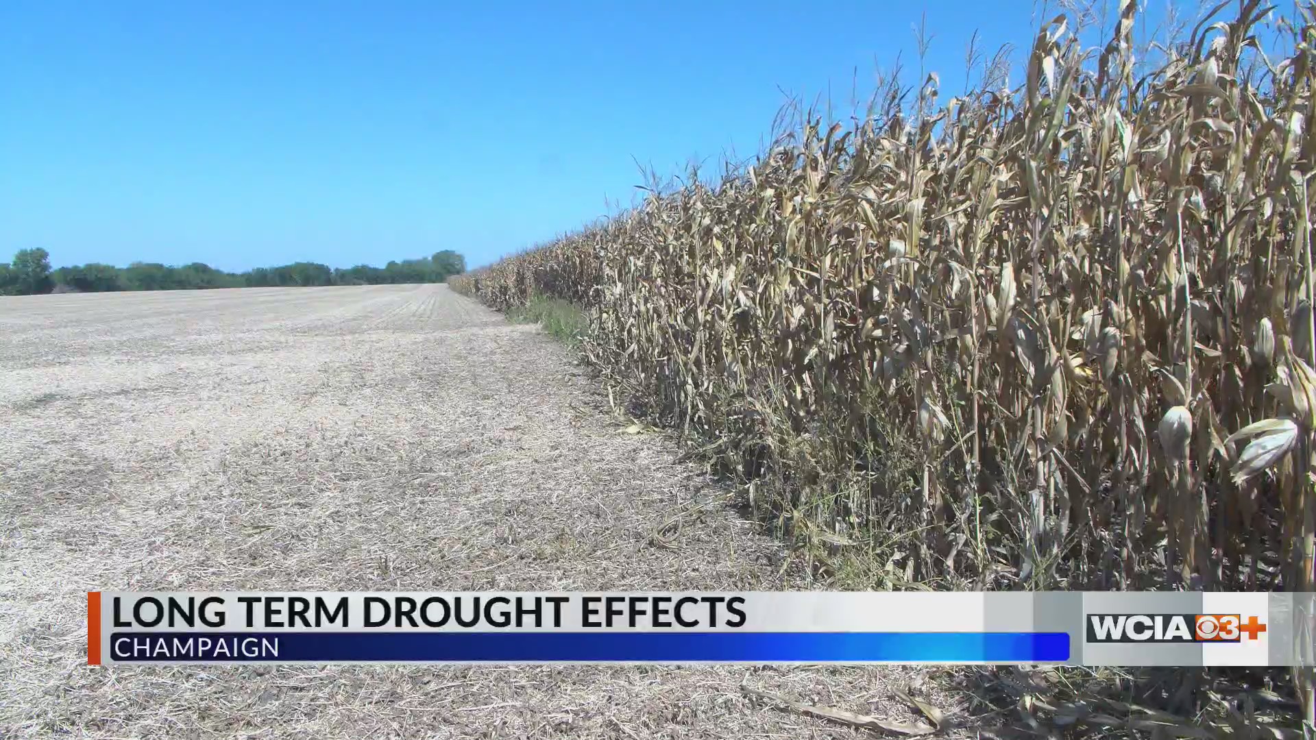Experts say drought conditions continue despite slight rainfall