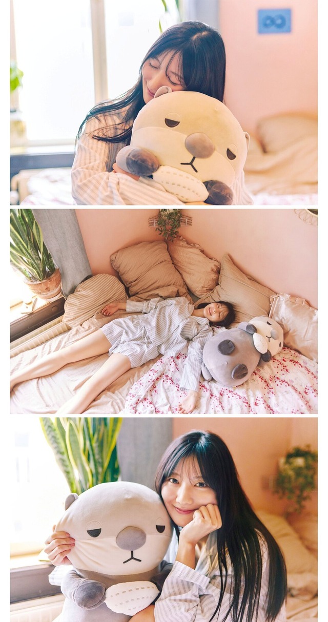 カワウソ ぬいぐるみ 河田陽菜 日向坂46 カワウソ ぬいぐるみ 河田陽菜