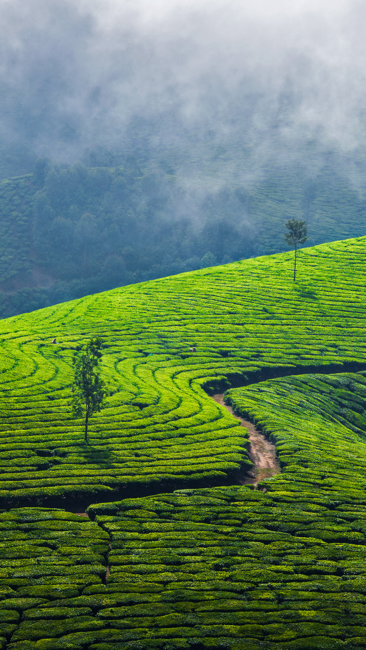 best-romantic-places-to-visit-in-south-india-in-october-2025