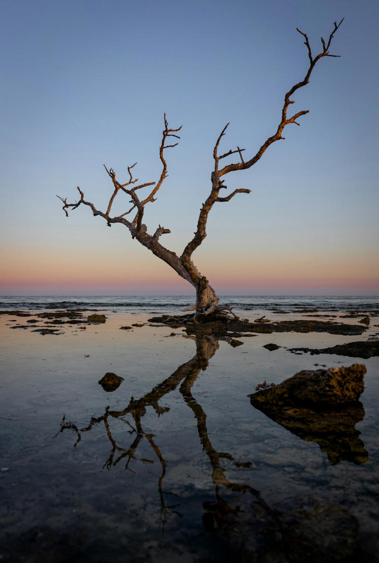 Why The Outback In Australia Is So Mysterious - Explained By ...
